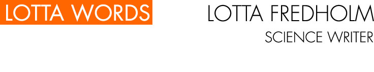 LottaWords